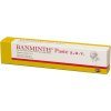 Banminth perorálna pasta pre psy 24 g