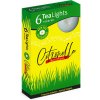 Santo Candles Citronela 6ks