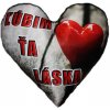 Srdce Ľúbim ťa láska