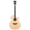 D'angelico Premier Gramercy LS Natural