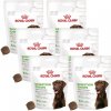 Royal Canin Digestion Adult Chews 6x160g