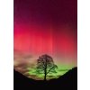 HEYE Power of Nature Sycamore Gap 1000 dielov