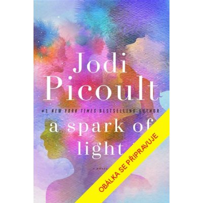 Záblesk života - Jodi Picoultová