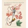 Illuminating Natural History: The Art and Science of Mark Catesby (McBurney Henrietta)
