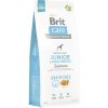 Brit Care Grain-free Junior Large Breed Salmon 12 kg