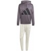 Pánska tepláková súprava ADIDAS M BL FT HD TS JI8871 S