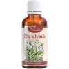 Serafin Žily a lymfa - tinktúra zo zmesi púčikov, 50 ml