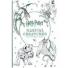 Harry Potter Magical Creatures Colouring Book (neuvedený autor)(Brožovaná)