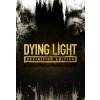 Dying Light Definitive Edition (PC)