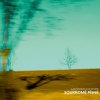 Cicvárek Ivo & Lada Šimíčková: Soukromé písně - CD