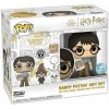 Funko Pocket Pop! Harry Potter GIft Set