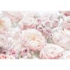 Komar Papierová fototapeta Spring Roses 368 x 254 cm