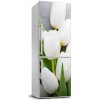 Nálepka fototapeta chladnička Biele tulipány 60x180 cm
