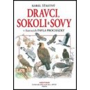 Dravci , sokoli a sovy - Procházka Pavel, Štastný Karel