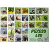 Pexeso Les