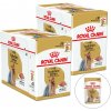 Royal Canin Adult Yorkshire Terrier 24 x 85 g