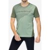 Bežecké tričko Dynafit Alpine 2 S/S Tee - sage