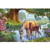 SCHMIDT Puzzle Kone v rieke 150 dielikov