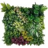 Variabilný WALL GREEN Euonymus japonicus, dielec 100 x 100 cm (Variabilná realistická 