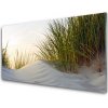 Sklenený obklad Do kuchyne Piesok tráva krajina 100x50 cm