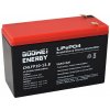 Goowei Energy CNLFP10-12.8 10Ah 12.8V