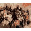 Zuty – Maľovanie Podľa Čísel – Maľované Kone V Hnedej, 80 × 100 cm, Plátno 8596530093503