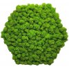 Machový obraz 6-uholník bezrámový 30cm