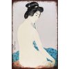 Ceduľa Japan Geisha 30cm x 20cm Plechová tabuľa