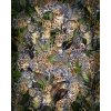 Komar Vliesová fototapeta Wild Cats 200 x 250 cm