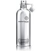 Montale Paris Soleil de Capri EDP 100 ml (unisex)