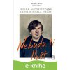 E-kniha Nebudu ti lhát - Michal Hrůza, Petr Vydra