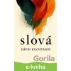 E-kniha Slová - Dávid Kuchtanin