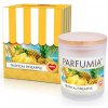 Sójová vonná eko sviečka TROPICAL PINEAPPLE PARFUMIA 250 ml