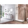 Aquatek HOLIDAY R14 Chróm Sprchová zástena obdĺžniková 100x80 cm