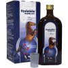 HYALUTIDIN Mobility HCC pre kone 2x500ml