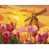 zuty Zuty - Maľovanie Podľa Čísel - Krásne Tulipány S Veterným Mlynom, 40X50 Cm, Plátno (8596530108207)