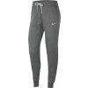 Nike Park 20 Fleece CW6961 071