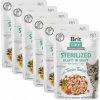 BRIT - Kapsička BRIT Care Cat Sterilized Fillets in Gravy with Tender Turkey 6 x 85 g