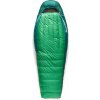 SEA TO SUMMIT Ascent -9C Down Sleeping Bag Long Rain Forest Green