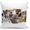 Sablio Vankúš Mláďatká 2 - 60x60 cm