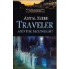Traveler and the Moonlight