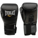 Everlast Protex 2 Training