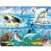 Puzzle MAXI pre malého poľovníka - Arktída/75 dielikov