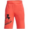 Under Armour UA Prototype 2.0 Logo Šortky detské 1361817 866