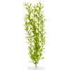 JK ANIMALS Hygrophila 38-43 cm