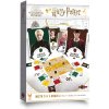 Asmodee Harry Potter: Mistr čar a kouzel CZ