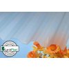 LANIT PLAST polykarbonátová doska MARLON CSE FR 0,8 mm 1,06x2 m číra LG2619 – cena za ks