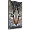 Vertikálny foto obraz na plátne do obývačky Oči mačky 50x100 cm