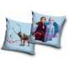 CARBOTEX Obliečka na vankúšik 40/40cm Disney Frozen, FRO2293007