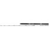 Daiwa Prut BG Deep Sea 2,20 m 30-40 lbs 2-díl
